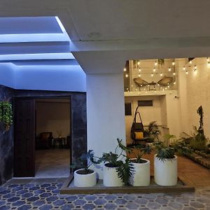 Appartement Rez-de-Chaussée